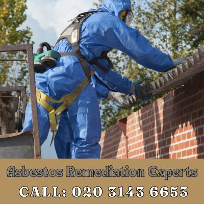 Asbestos Remediation Experts Belvedere