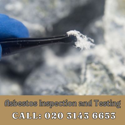 Comprehensive Asbestos Inspection and Testing Services in Belvedere